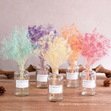 Factory price dried decoration dried violet flowers dried jasmine flowers